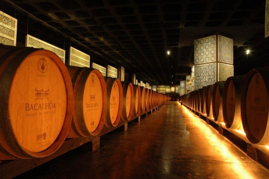 Lisbon: Private Full-Day Wine Tasting Tour in a premium car - Lunch in Azeitão: free time, local rhythm, and a bill you control