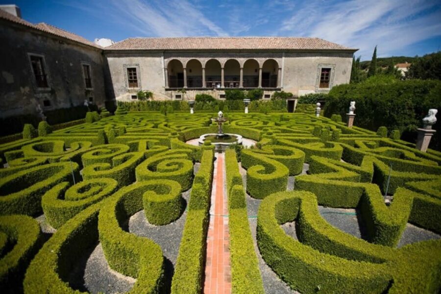 Lisbon: Private Full-Day Wine Tasting Tour in a premium car - Winery stop two: another guided visit and three regional wines