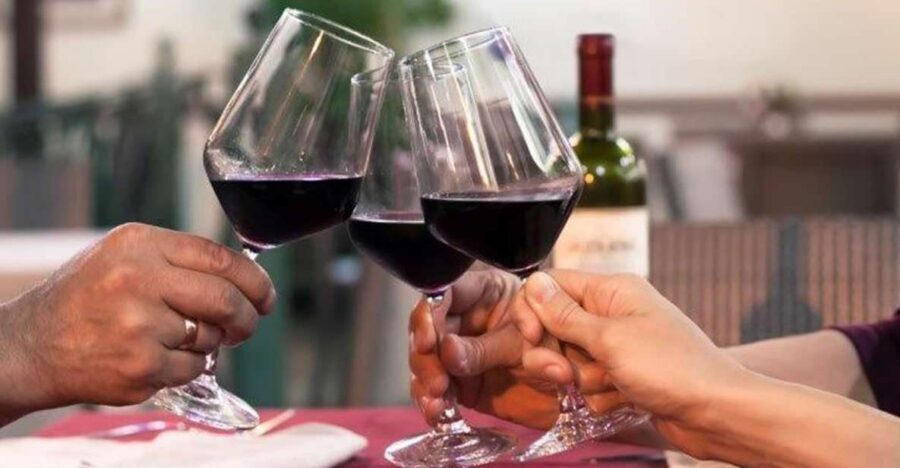 Lisbon: Private Full-Day Wine Tasting Tour in a premium car - What you’re really paying for: guided tasting value, not just pours