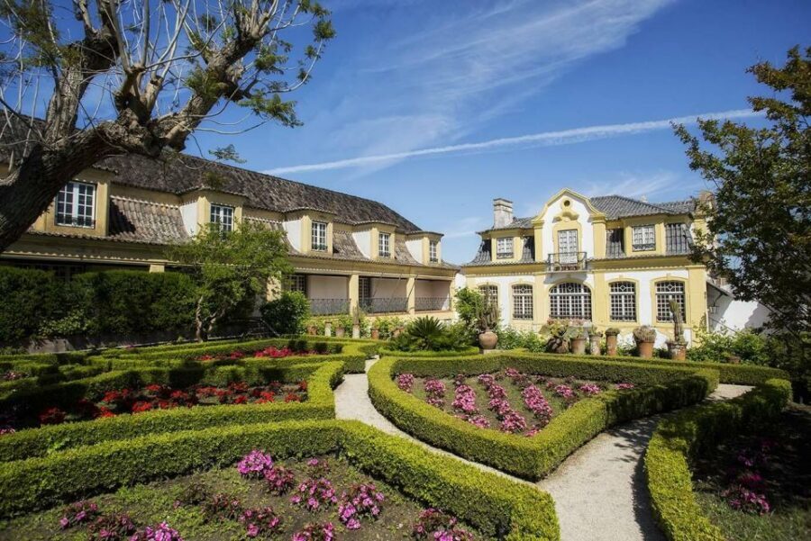 Lisbon: Private Full-Day Wine Tasting Tour in a premium car - Tips to get more from the tastings (and not feel rushed)