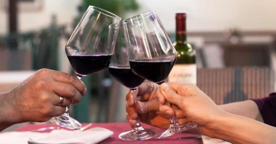 Lisbon: Private Full-Day Wine Tasting Tour in a premium car - Premium pickup and the Tesla ride that keeps the day easy