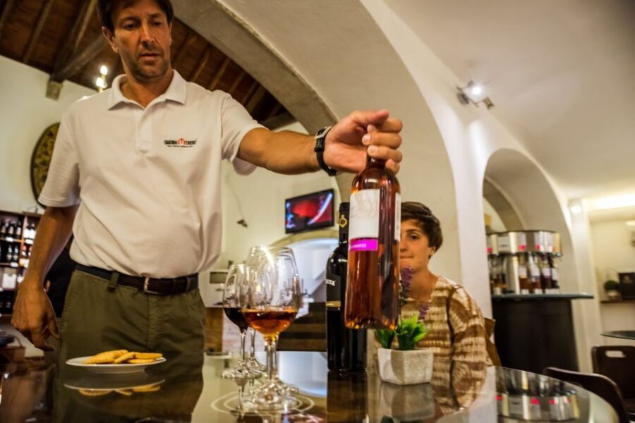 Lisbon Private Setúbal Region Wine Tasting Tour - Key things I’d plan around