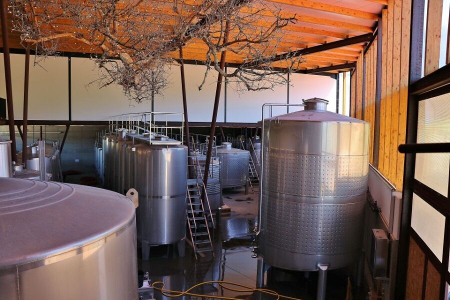 Lisbon Private Setúbal Region Wine Tasting Tour - Price and Value: $294 for Up to 2 People in a 6-Hour Window