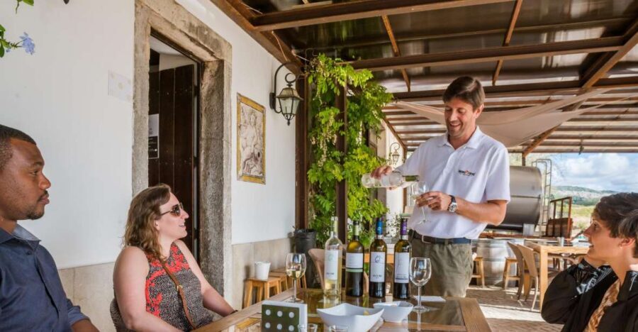 Lisbon Private Setúbal Region Wine Tasting Tour - How the 6-Hour Lisbon to Setúbal Day Really Flows