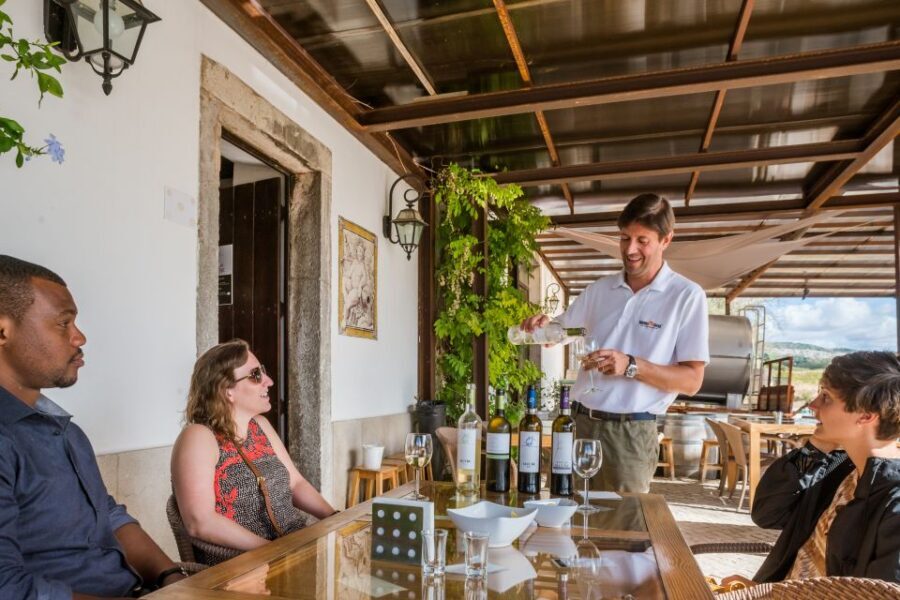 Lisbon Private Setúbal Region Wine Tasting Tour - José Maria da Fonseca: The Big-Name Start That Sets Context
