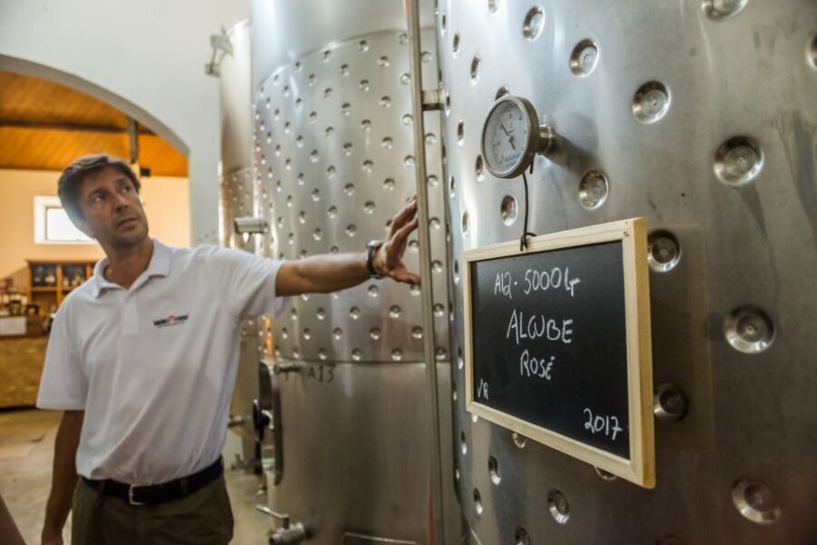 Lisbon Private Setúbal Region Wine Tasting Tour - What the Food Pairing Adds (and When It’s a Real Win)