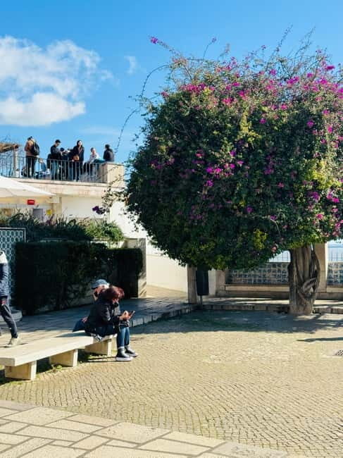 Lisbon: Private Sightseeing Tour by TukTuk - Eduardo VII Park, Largo do Carmo, Bairro Alto, and Pink Street