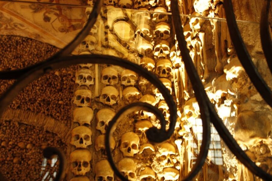 Lisbon: Private Tour to Évora and Cork Factory - Money and value: is $388 per person worth it?