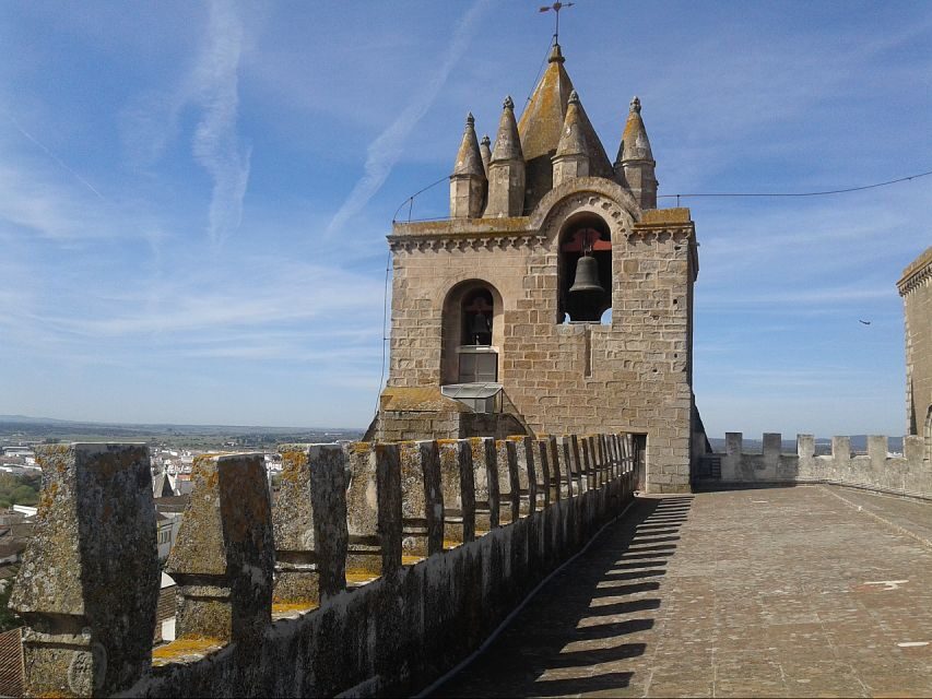 Lisbon: Private Tour to Évora and Cork Factory - Cork at Cortiçarte: watching cork go from bark to product