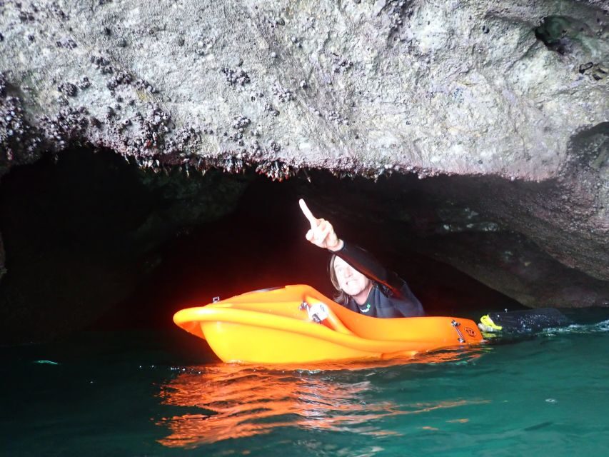 Lisbon: Sesimbra Underwater Exploration by Seaview Board - Quick Key Points Before You Go