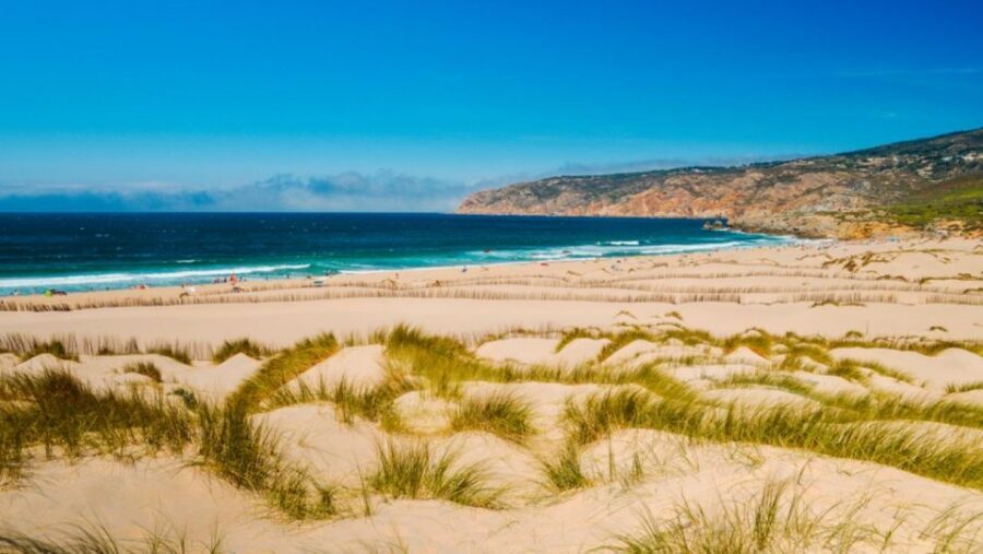 Lisbon: Sintra, Pena, Cabo da Roca Coast & Cascais Day Tour - Practical Tips to Make This Day Feel Easy