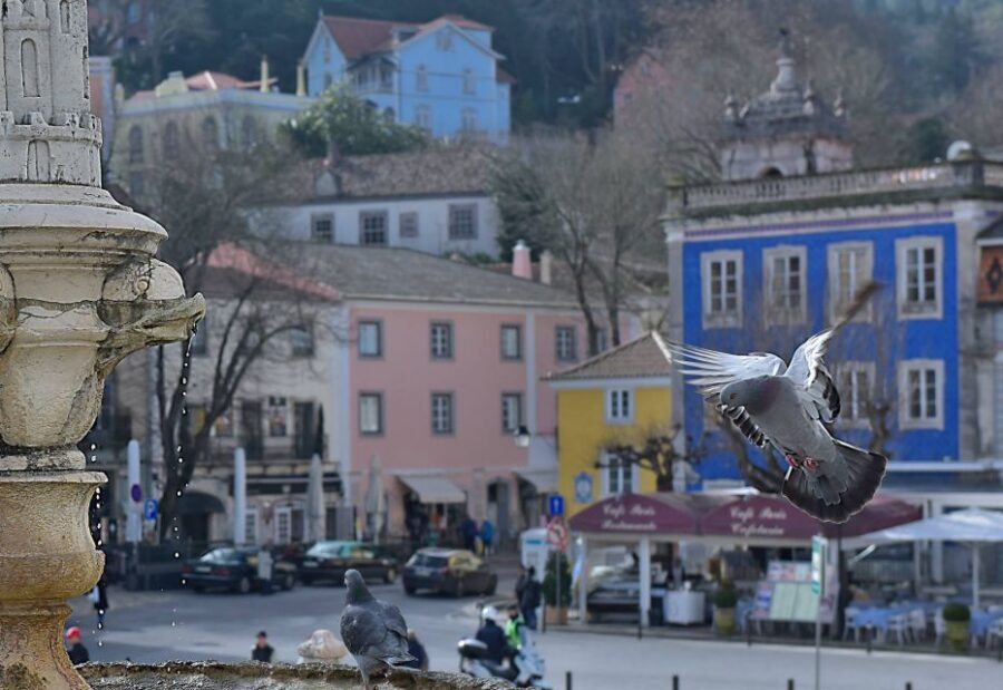Lisbon: Sintra, Pena Palace, Quinta Regaleira, Cascais Tour - Queluz pass-by: a quick taste before the Sintra hit