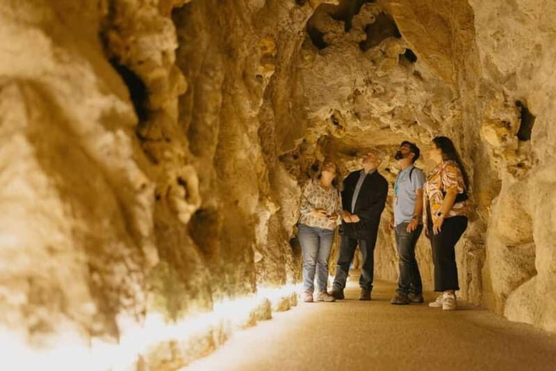 Lisbon: Sintra Tour with Optional Regaleira & Pena Gardens - Price and value: what you’re paying for at $102