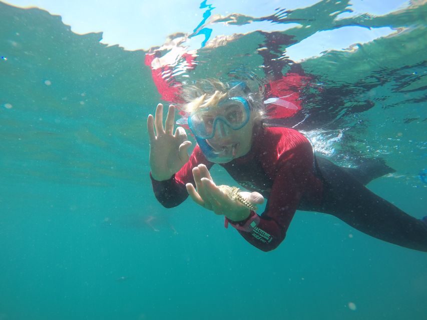 Lisbon: Snorkelling in Sesimbra/Arrábida Natural Park - Key highlights at a glance
