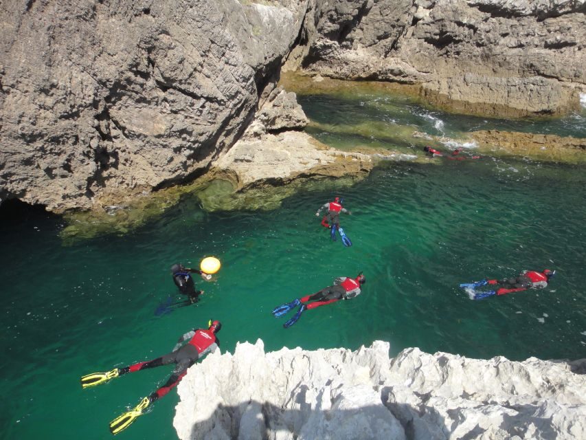 Lisbon: Snorkelling in Sesimbra/Arrábida Natural Park - Who this snorkeling trip is best for (and who should think twice)