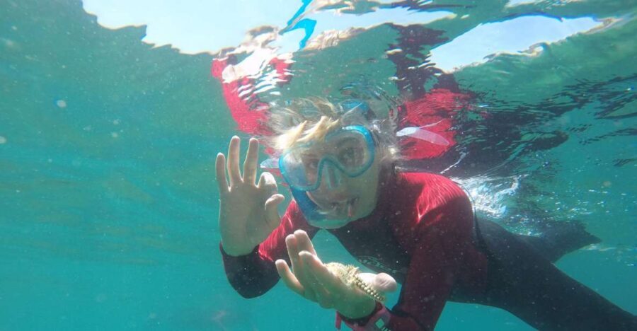 Lisbon: Snorkelling in Sesimbra/Arrábida Natural Park - The boat ride from the meeting area near diving centers