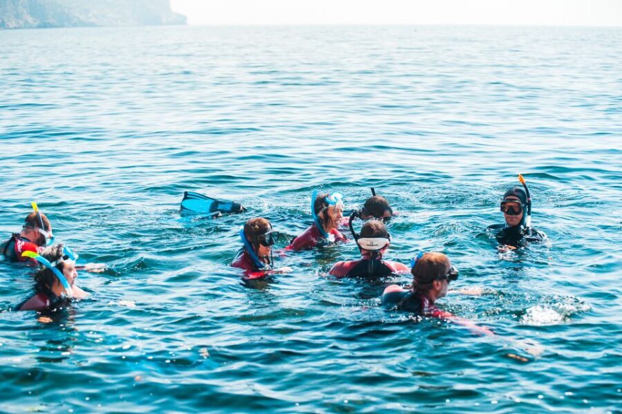 Lisbon: Snorkelling in Sesimbra/Arrábida Natural Park - Professor Luiz Saldanha Marine Park: where you look and why it works