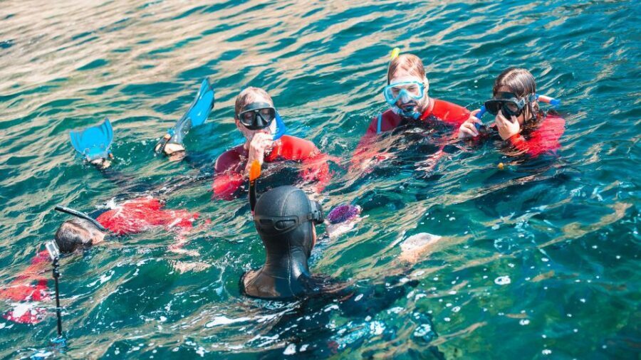 Lisbon: Snorkelling in Sesimbra/Arrábida Natural Park - What the guides do (and why it shows up underwater)