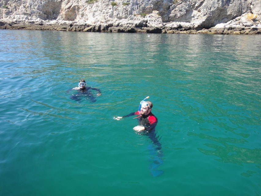 Lisbon: Snorkelling in Sesimbra/Arrábida Natural Park - What you’ll see under the surface (and how to actually spot it)