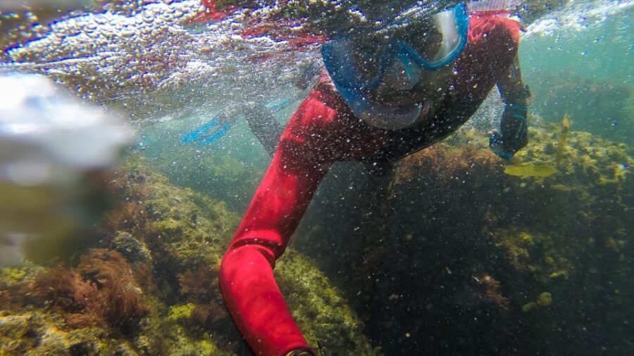 Lisbon: Snorkelling in Sesimbra/Arrábida Natural Park - Price and value: what $70 buys you in real terms