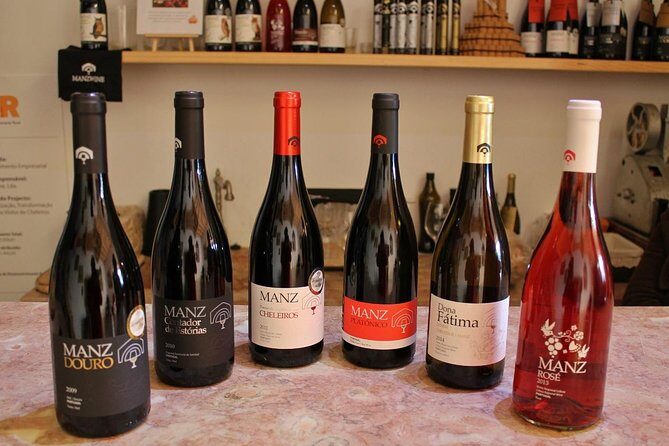 Lisbon Southern Region (Fernão Pó) Wine Tasting Private Tour - Why This Lisbon Wine Day Starts With a Long Drive South