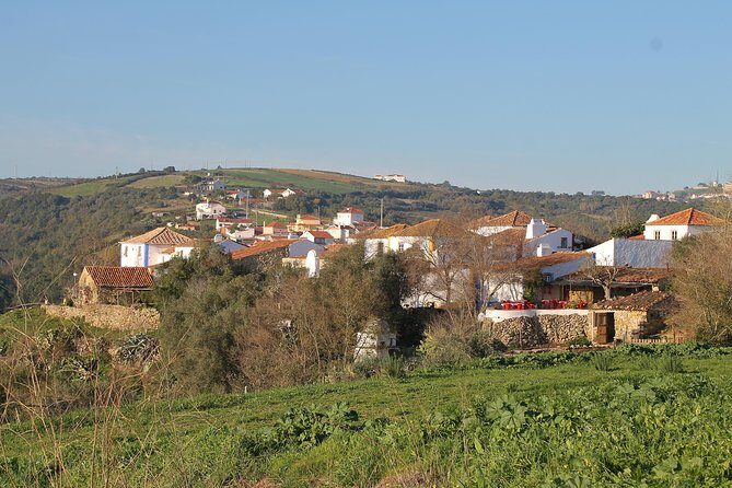 Lisbon Southern Region (Fernão Pó) Wine Tasting Private Tour - Quinta da Murta and Bucelas DOC: Arinto and a Roman Link