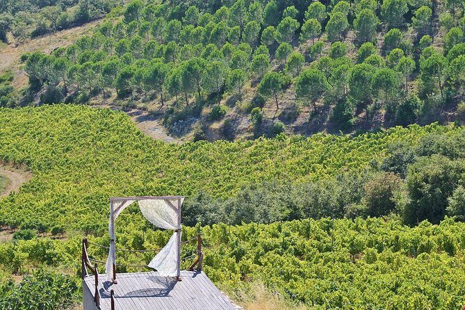 Lisbon Southern Region (Fernão Pó) Wine Tasting Private Tour - What You’ll Taste: A Simple Way to Track Your Favorite Styles