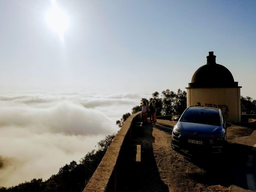 Lisbon: Southern Sights and Wine Private Tour - Setúbal wine tasting: relaxed, informative, and local