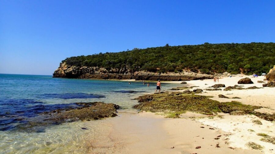 Lisbon: Southern Sights and Wine Private Tour - Private tour pacing: hotel pickup and a driver who keeps you on track