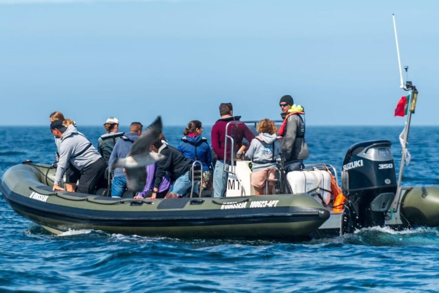 Lisbon: Speedboat Trip to Bugio Lighthouse - Oeiras and the River Meets the Ocean