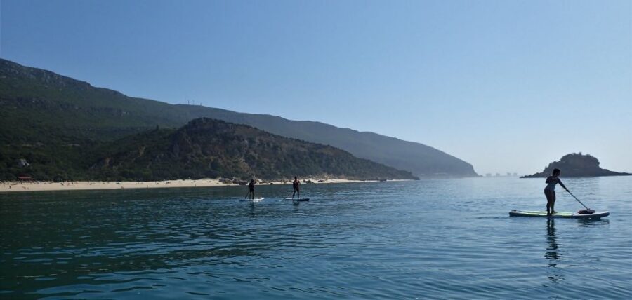 Lisbon: Stand Up Paddle Lesson in Arrábida, Setubal,Sesimbra - The Prof. Luiz Saldanha Marine Park route: caves, hidden beaches, and wildlife time