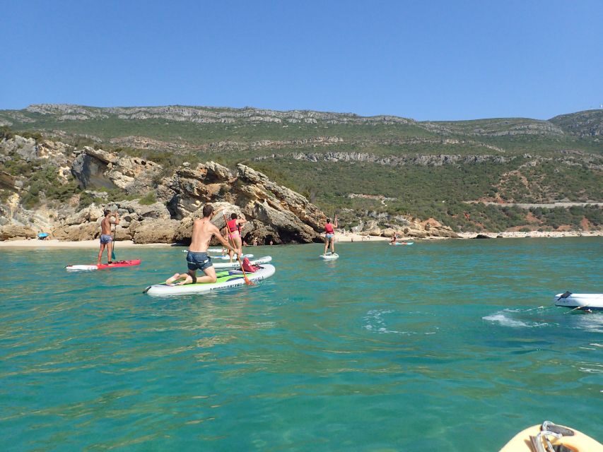 Lisbon: Stand Up Paddle Lesson in Arrábida, Setubal,Sesimbra - Anicha Island snorkeling stop (optional): the close-up moment