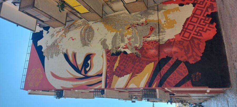 Lisbon Street Art Lovers Walk - What the guide actually does: stories, politics, and reading the walls