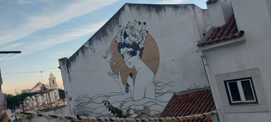 Lisbon Street Art Lovers Walk - The artists and techniques you’ll spot (and what to look for)