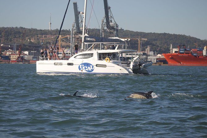 Lisbon: Sunset Cruise With Drinks on Spacious Yacht - Price and Value: Is $50.69 Worth a 2-Hour Sunset?