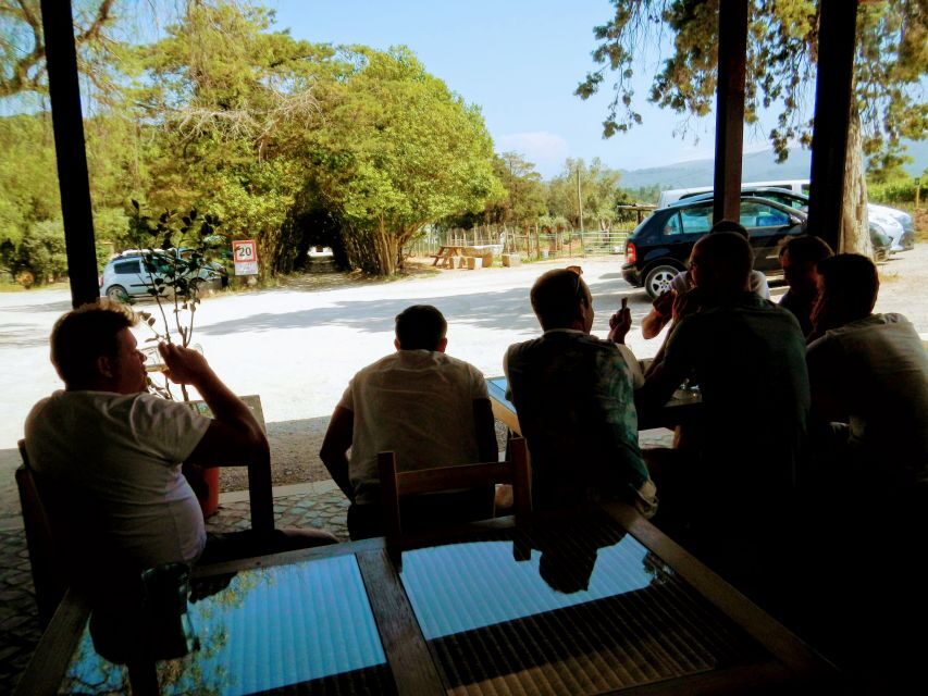 Lisbon: Surf or Bodyboard and Wine Tasting - The Fisherman Village Break: Fish-Based Flavors, Casual and Local
