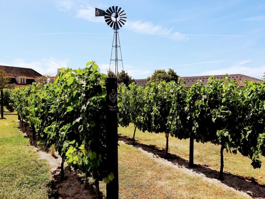 Lisbon: Surf or Bodyboard and Wine Tasting - Getting Started at Lisbon Zoo: The Easy Meeting Point