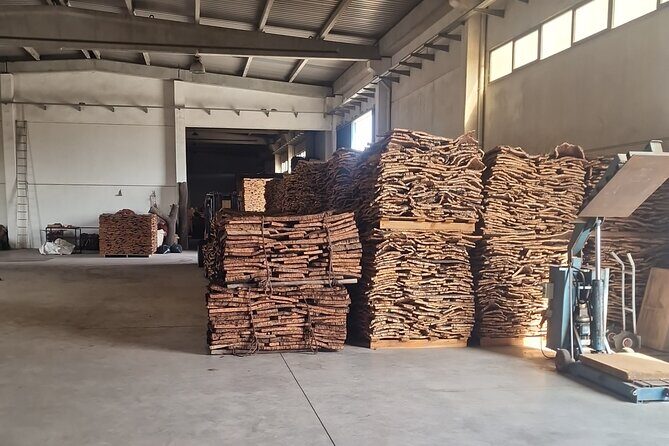 Lisbon to Evora: Cork Factory Visit and Wine Tour + hotel pick-up - Ervideira Wine Shop Monsaraz: guided tastings and a few labels to remember