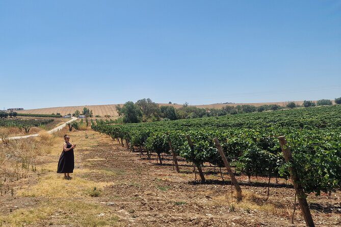 Lisbon to Evora: Cork Factory Visit and Wine Tour + hotel pick-up - Timing, pickup, and comfort tips for a full day
