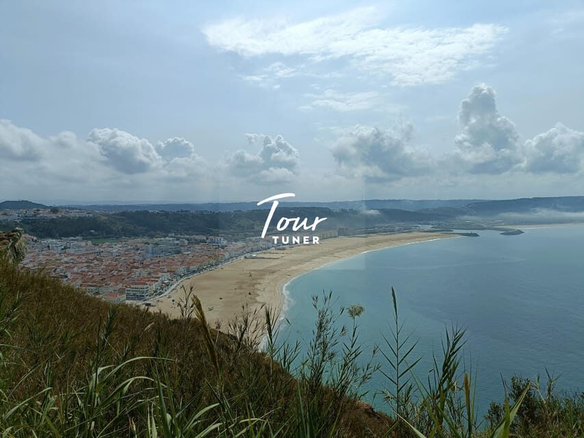 Lisbon: To Porto, Day Trip & Transfer with Stops in 3 Cities - The practical pickup-to-drop-off rhythm in Porto