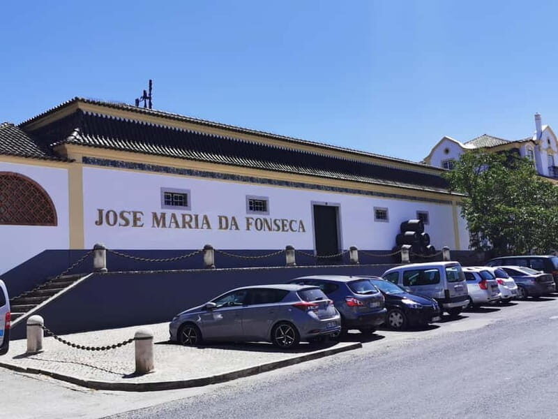 Lisbon to Wine Tasting Setubal, Two Cellars, Half Day Tour - Key things I’d zero in on before you book