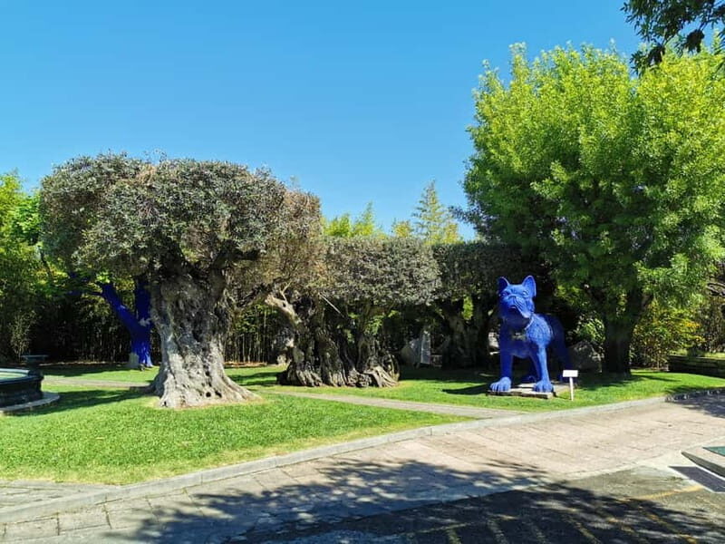 Lisbon to Wine Tasting Setubal, Two Cellars, Half Day Tour - Why Setúbal makes sense as a half-day wine escape