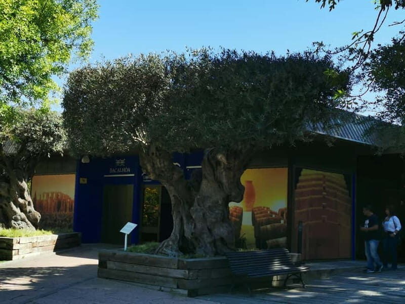 Lisbon to Wine Tasting Setubal, Two Cellars, Half Day Tour - José Maria da Fonseca: the cellar stop that sets the tone