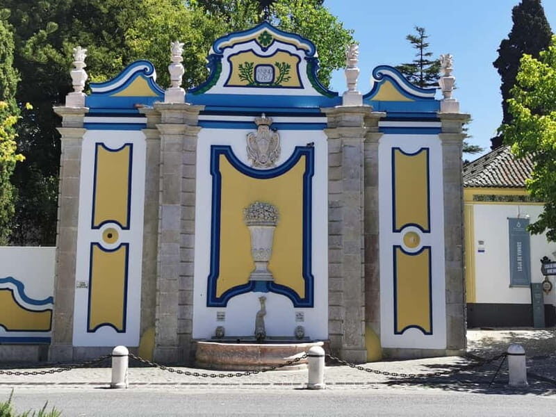 Lisbon to Wine Tasting Setubal, Two Cellars, Half Day Tour - The schedule: pickup, driving, and why 5 hours can be tight