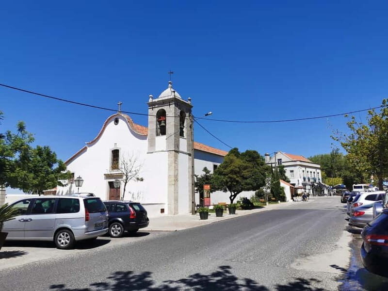 Lisbon to Wine Tasting Setubal, Two Cellars, Half Day Tour - The “two-cellar” plan: what it really gives you