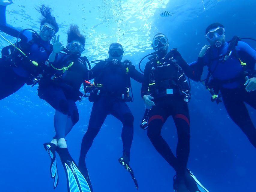 Lisbon: Try Dive in Arrábida Marine Reserve Setubal Sesimbra - Key highlights you’ll care about