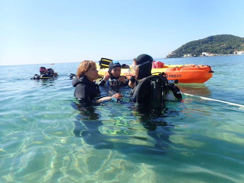 Lisbon: Try Dive in Arrábida Marine Reserve Setubal Sesimbra - Why the Arrábida coast works so well for a first scuba try