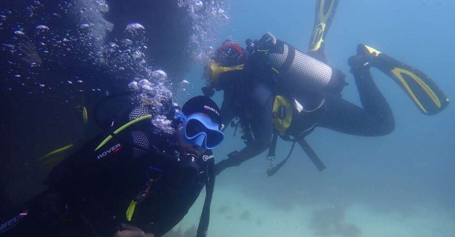 Lisbon: Try Dive in Arrábida Marine Reserve Setubal Sesimbra - What the $100 per person really covers (and why it’s worth comparing)