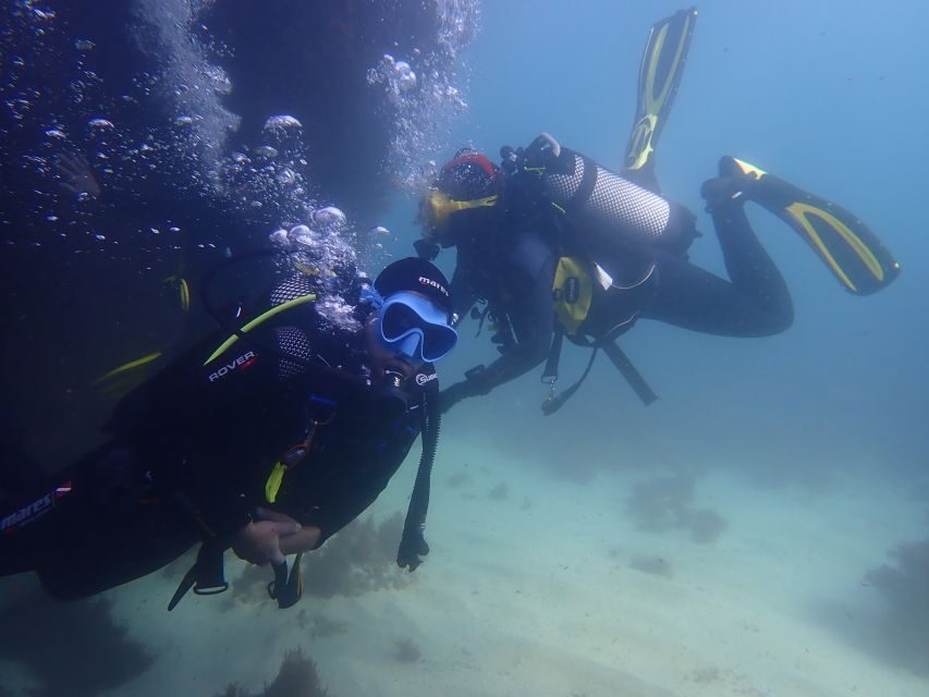 Lisbon: Try Dive in Arrábida Marine Reserve Setubal Sesimbra - Creiro’s Beach meeting point: the easy part, plus one real-world tip