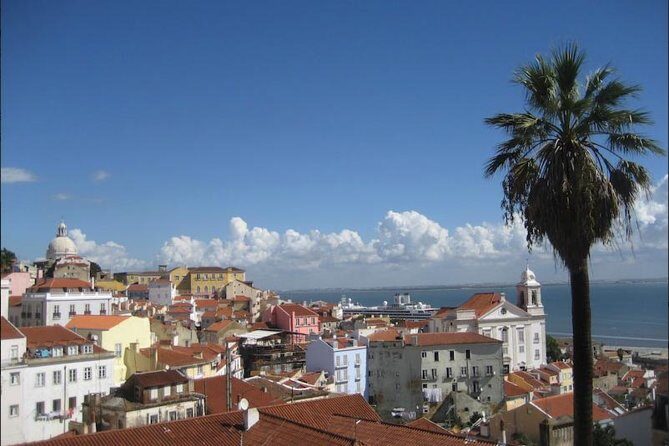 Lisbon walking tailored private tour (half day) - Stairs, steps, and pacing: why comfort is part of the experience